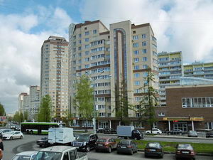 Зеленый 3 микрорайон города Зеленограда, площадь Юности, корп. 309, инфраструктура, типы домов, полезные телефоны